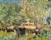 阿尔弗莱德 西斯莱 : Willows on the Banks of the Orvanne